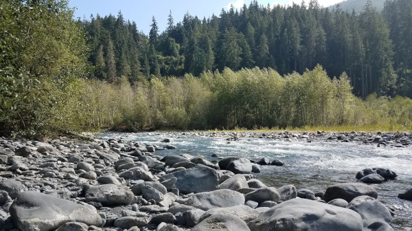 Rocky bank of a river